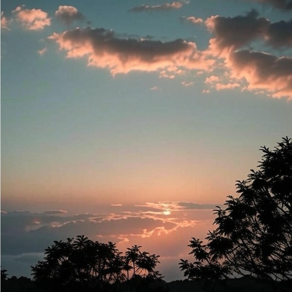 Meet your Posher, Joanie